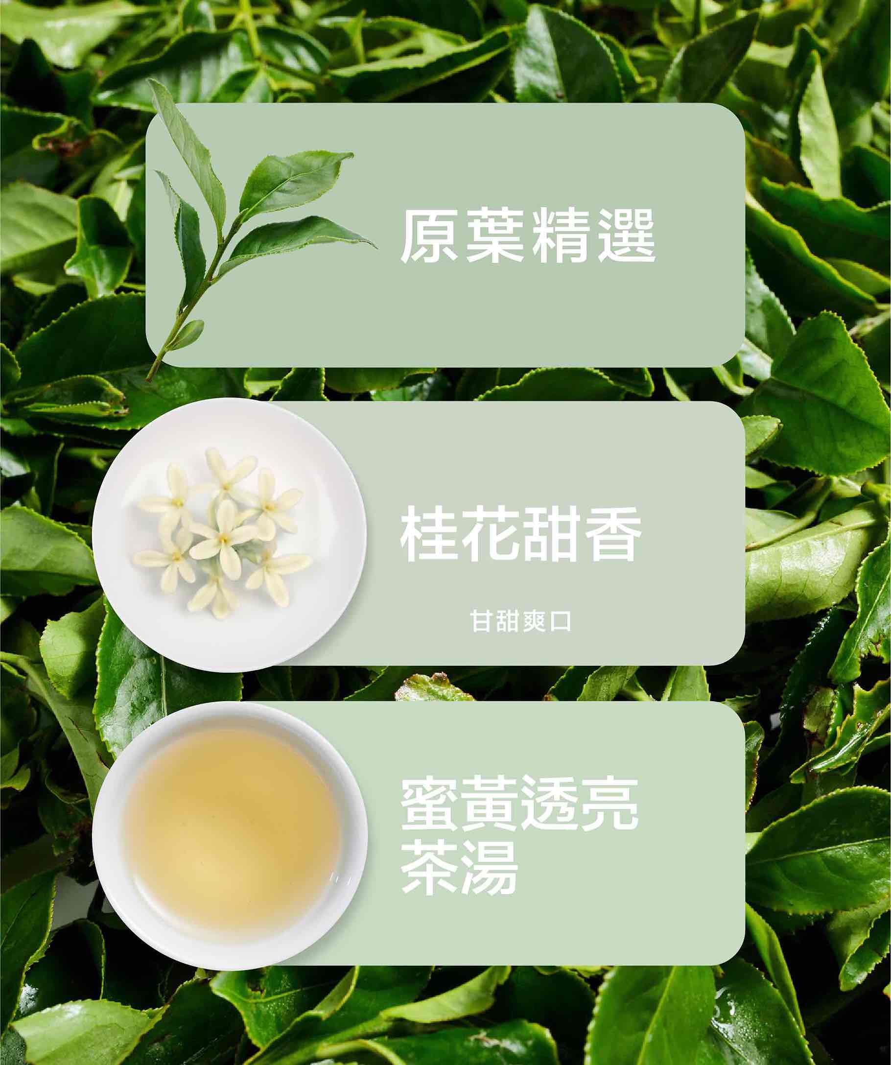 20250704_桂花烏龍_商品頁面_產品特性-英_2.jpg
