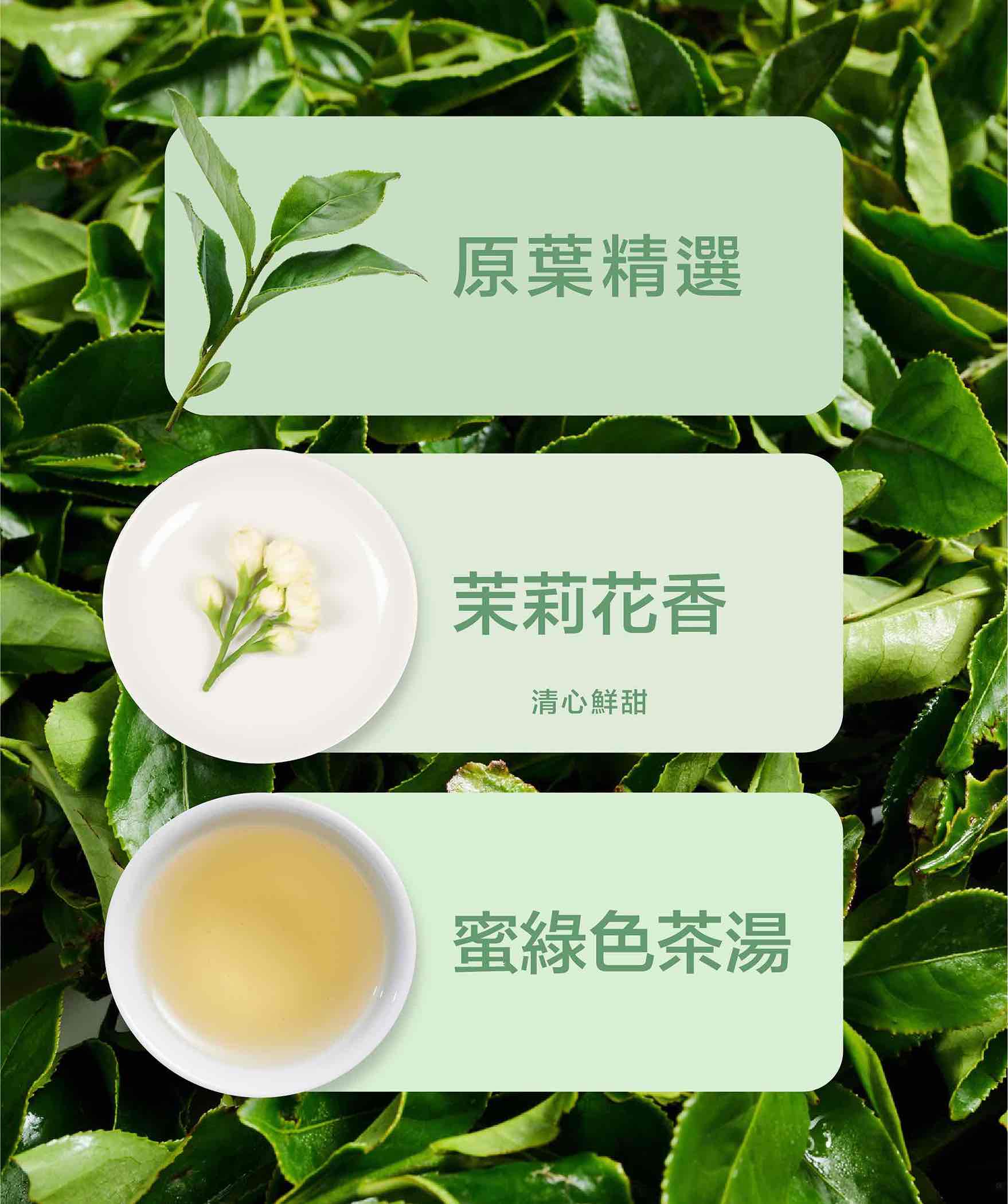 20250704_茉莉綠茶_商品頁面_產品特性-英_2.jpg