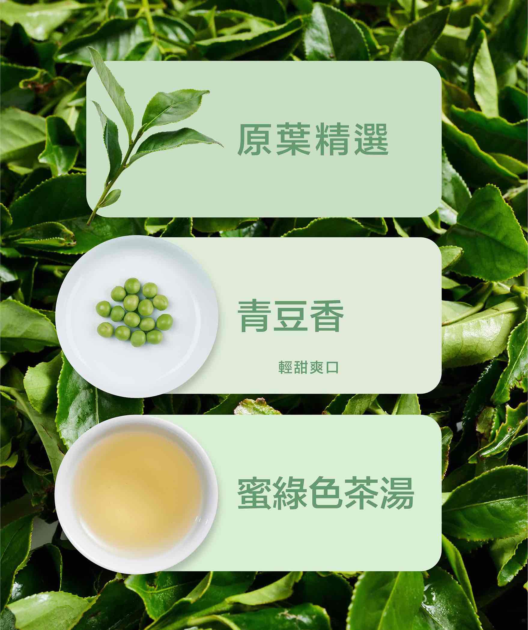 20250704_金萱綠茶_商品頁面_產品特性-英_2.jpg