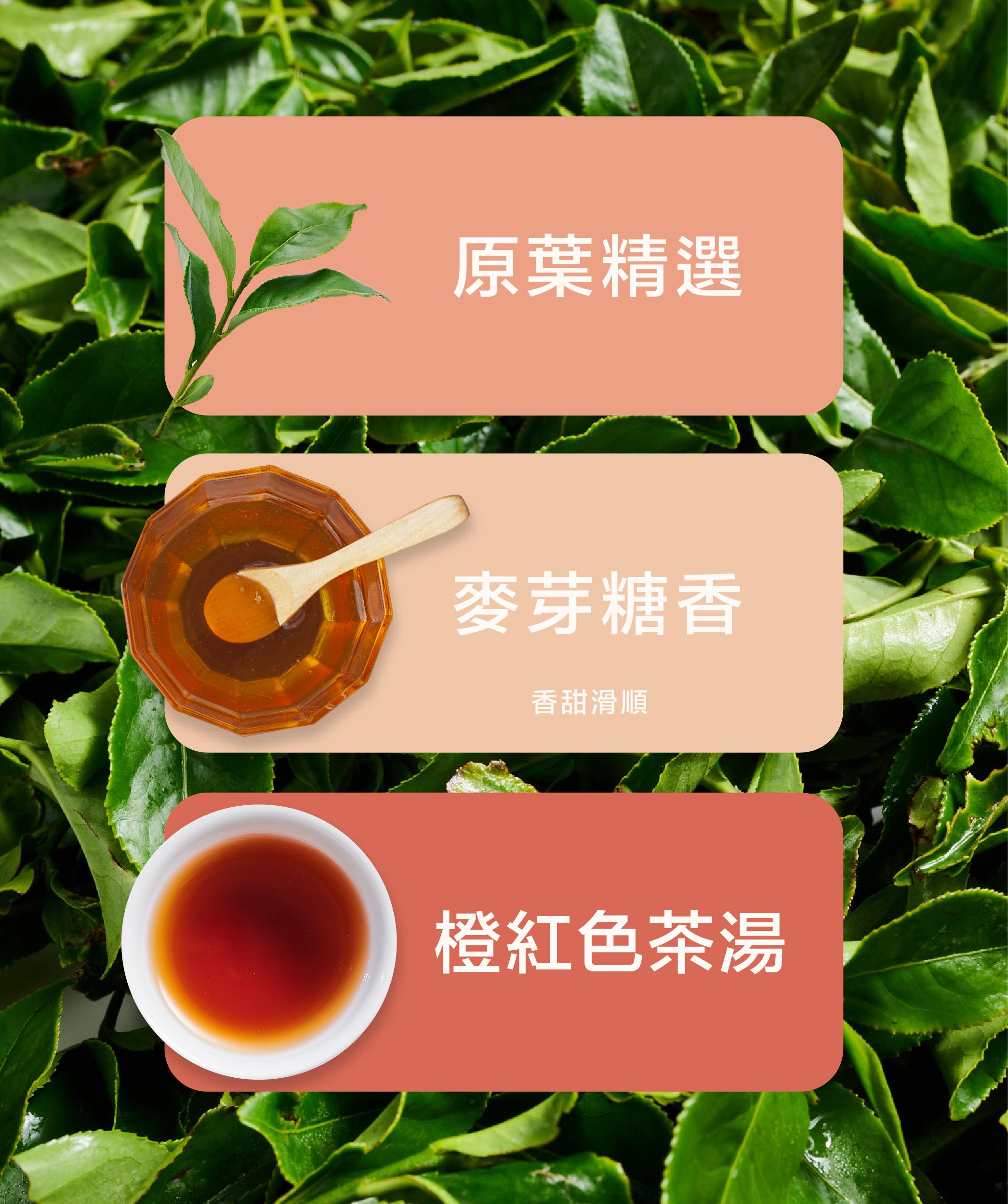20250704_小葉紅茶_商品頁面_產品特性.jpg